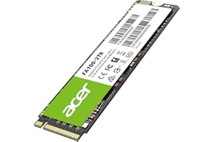 Biwin SSD Acer FA100 M.2 2 to
