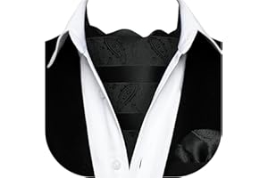 HISDERN Cravat for Men Paisley Floral Cravats Handkerchief Jacquard Wedding Ascot Tie & Pocket Square Set