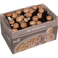 Große 10kg XXL Steinchampignon Pilzkultur I Hawlik Pilzbrut I kinderleicht Pilze selber züchten I ohne Vorkenntnisse I…