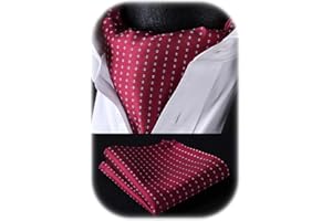 HISDERN Ascot a Pois Uomo e Fazzoletto Stripe Cravatta da Matrimonio Elegante Foulard Business Classico Ascots Set