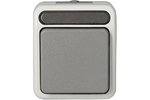 Schneider Electric Merten Aus- und Wechselschalter, Aquastar, Aufputz, 1-polig, IP44, lichtgrau, Artikelnummer MEG3116-8029, 1 Stück