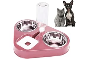 doepeBAE Katzen Futternapf,Automatischer Futternapf Und Wasserspender,für Katze Neigbar Katzenpfe Abnehmbar,für Kleione und Miteltgro Hunde und Katzen (B)