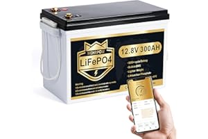 MEHRPOW 12V 300Ah MINI LiFePO4 Lithium Batterie, Bluetooth Lithium Batterie, 200A BMS, bis zu 15000 Zyklen, Max.3840Wh Energie mit Low Temp Cut off, perfekt für RV, Solar, Trolling Motor