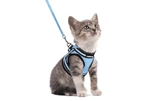 rabbitgoo Arnes Gatos y Correa 150cm Chaleco Ajustable Antitirones Reflectante Cómodo Correa Mágica para Fácil de Poner y Quitar para Paseo Diario Arnes para Perro Pequeño Conejos Gatos S Azul Claro