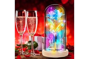 GOHYTAL Rose Gifts, Birthday Wedding Gift for Women, Flower Gift, Artificial Flower Gifts for Mum, Wife, Grandma, Friend, Girlfriend, Sister, Light Up Rose in A Glass Dome for Anniversary Graduation, Blue
