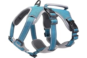 BELPRO Arnés de Apoyo Multiusos para Perro, a Prueba de Escape, Chaleco Reflectante Ajustable con Mango Duradero, arnés para Perros Grandes y Activos (Azul, XL)