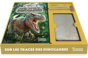 Sur les traces des dinosaures