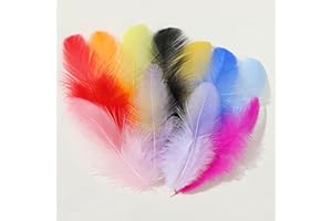 SINCHIC Plumes Colorées,300 PCS Plumes Plumes Artisanales Plume Multicolore Guirlande Plume pour Les Décorations Artisanales DIY Le Carnaval Les Fêtes D'halloween et Autres D'Événements