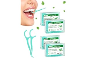 NETONDA 200 Pcs Fil Dentaires à la Menthe Porte Fil Dentaire avec Manche Cure Dents Plastique 4 Boîte Dental Floss Picks Fils Interdentaires