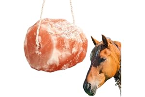 Shyllin Sale per Cavalli, Pietra di Sale con minerali e oligoelementi, Blocco di sale dell’Himalaya per cavalli con Cordoncino 1.7KG, Naturale Sali Minerali per Cavallo, Bovini, Caprini, Cervo