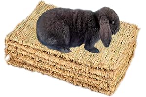 PINVNBY Natural Grass Woven Mat Small Animal Bedding Nest Guinea Pig Chew Toy For Parrot Rabbit Bunny Hamster Rat 6 PCS