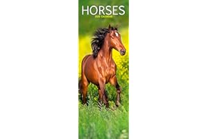 Horses Slim 2026 Calendar | Slimline Wall Calendar | Animal Gift | Plastic Free Packaging | by Avonside Publishing