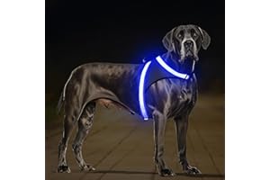 ChalkLit LED Leuchtendes Hundegeschirr USB Wiederaufladbares Vollständig Beleuchtetes Hundegeschirr Leuchtet Im Dunkeln für Nachtspaziergänge Sicherheitsweste, mittelgroße große Hunde (Blau, L)