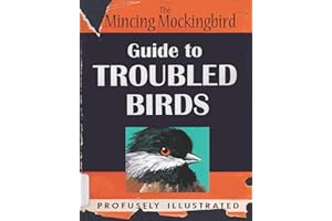 The Mincing Mockingbird Guide to Troubled Birds: An Uuthoritative Illustrated Compendium to Be Consulted in the Event of an Infant of Small Child Being Torn Apart by a Murder of Crows