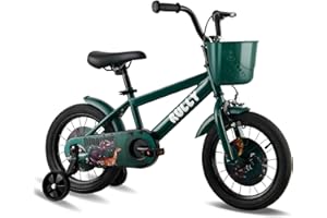 RULLY Vélo Enfant Dinosaur 12 14 16 Pouces pour Garçons de 2 à 7 Ans – Vélo Style BMX avec roulettes – Plusieurs Couleurs
