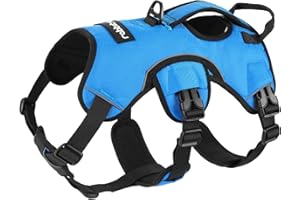 rabbitgoo Arnes Antitirones Perro Grande Mediano Ajustable con Manija de Espalda, Chaleco Acolchado Arnés para Perro Coche Lineas Reflecantes Paseo Fácil para Entrenamiento Tamaño M Azul