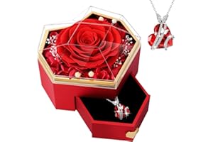PatNlevs Ewige Rose Geschenkbox mit Kette, Geschenke für Frauen, Geburtstagsgeschenke für Grauen, Geschenk Freundin, Geburtstagsgeschenk für Mama, Schwester, Freundin