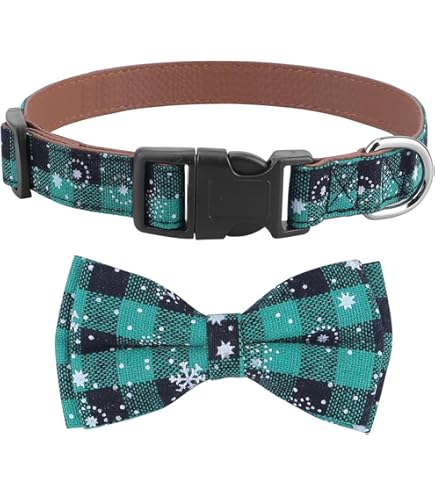 Hondenhalsband, hondenhalsband met afneembare vlinderdas, verstelbare halsband, katoenen kraag met metalen drukknop, voor kleine honden, middelgrote honden, grote honden, oranje, L, 2,5 x 36 ~ 55 cm