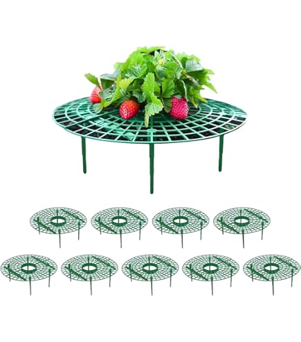 Lot De 10 Supports Pour Fraises (escargot) - Soulève Les Fruits Pour éviter La Pourriture - Ø 30 Cm - Pour Fraises, Salades, Tomates