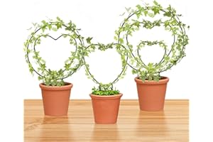 FNAOBAI Hoya Trellis 3 Size Indoor Plants Flower Support Stakes Round or Heart Metal Trellis Set Garden Tool Accessories for Small Potted Vine Climbing Houseplants (BlackCH)