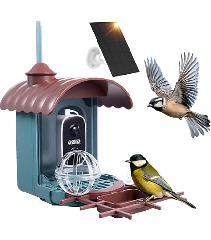 Mangiatoia per uccelli con fotocamera e alimentazione solare