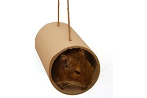 Chewchewbs Totally Degu 4 pack (White)