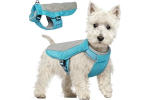 Hjumarayan Giubbotto Refrigerante Cane, Confortevole Cappottino Refrigerante per Cani Gilet Rinfrescante Cane Traspirante Giubbotto Cane con Pettorina adatto alle calde giornate estive, Blu S