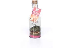 Mélange pour mojito fraise en carafe