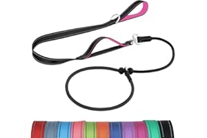 Joytale Tangle-Free Slip Lead for Dogs, 1.8m Slip Lead with Double Padded Handle, Anti Pull Training Leash for Puppy Small Medium Dogs(6-18 KG), Black/Hot Pink