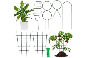 Pilikoll 4 Piezas Estacas de Soporte de Plantas de Metal con 2 Soporte de Plantas Trepadoras Plastico,30 Atadura Enrejado para Plantas Trepadoras Tutores Plantas Enredaderas para Plantas Trepadoras