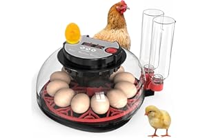 AISNY 12 Huevos Incubadora de Huevos, Incubadoras de Huevos Automaticas Incubadora Huevos Gallina con Volteador de Huevos Iluminación LED Automática Control de Humedad y Monitor de Temperatura