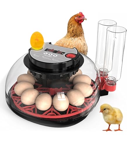 Incubator voor eieren, volautomatische broedmachine, volautomatisch, broedmachine, 12 eieren, led-verlichting, vochtbestendig
