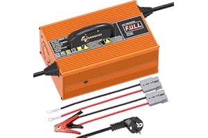 MOUDENSKAY LiFePO4 Ladegerät 14.6V 20A LiFePO4 Batterieladegerät 12V Lithium Batterie Ladegerät mit LED Anzeige für 30AH-100Ah Lithium LiFePO4 Deep Cycle Akkus,Auto,Wohnmobil,Marine