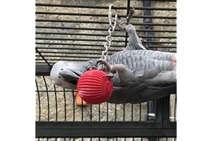 Northern Parrots Birdy Babble Ball - Interactive Parrot Toy