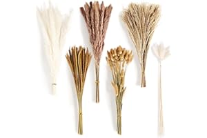 FAMKEEP suszone dekoracje pampasowe, 115 sztuk naturalna suszona trawa pampasowa, bukiet suszonych kwiatów, puszysta trawa pampasowa na dekoracje ślubne Boho