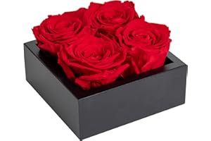 Khiva Graduation Day Preserved Roses in Wood Box, 4 Red Birthday Flowers for Delivery Prime, Everlasting Flowers, Natural Forever Roses That Last for Years, Eternal Rose, Gift Delivery for Mum