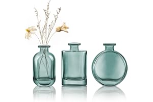 JOEYAN Petit Vase en Verre Bleu-Vert Lot de 3 - Vase à Fleurs Décoratifs pour Maison, Bureau, Table Déco