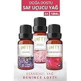 LOFTY Esansiyel U&ccedil;ucu Yağ Seti, Lavanta Amber Pudra, Aromaterapi Dif&uuml;z&ouml;r, 3x10ml, Doğal Saf Yağlar