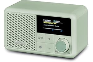 MEDION S66822 Radio Portable Mini Dab+ avec Bluetooth (Batterie Rechargeable, écran Couleur à intensité Variable, antenne télescopique, minuterie de Mise en Veille, réveil, AUX, USB-C) Vert