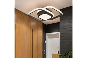 COOINJOY LED Ceiling Light, Black White Square Modern LED Ceiling Lighting, 21W 3000-6500K Changeable Acrylic Aluminum Light Fittings Ceilings for Hallway, Living Room, Kitchen, Bedroom, Aisle