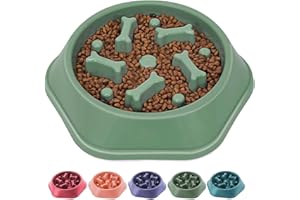 DOKI Slow Feeder Dog Bowl, Dog Bowls to Slow Down Eating, Anti-Choke, Anti-Gulp, Pet Bowls for Small Medium Size Pets(Green)