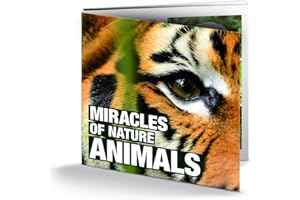 IMPACTO COLECCIONABLES 16 Monete Originali di Animali, da 16 Paesi Diversi - Miracles of Nature Animals Collection