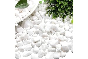 dellyy Décorative Gravier Blanc, 1000g, Petit Pierres Blanches, Pierres Blanches Décoratives, Cailloux Decoratif Vase, Petit Galets Jardin, Mini Graviers Blanc pour Pots Fleurs, Aquariums (1000)