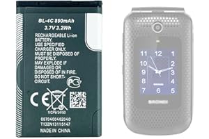 Aousavo Amico Fedele batteria di ricambio compatibile con Brondi Amico Fedele/Brondi Amico AMPLI VOX NO.:W11