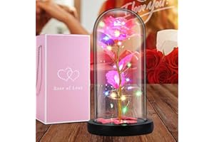 BESTYKS Cúpula de Cristal de simulación de Rosas con luz LED, Amor Eterno, Adecuado para el día de la Madre, día de San Valentín, Regalo de cumpleaños, Regalo para mamá, Esposa