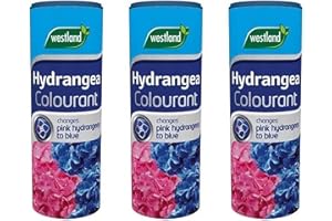 Wolvercroft Garden Centre Westland Hydrangea Colourant (500g) x 3