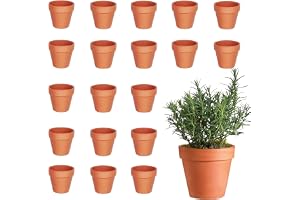 xolear 20 st mini terrakotta krukor 3 x 3 cm, gör-det-själv lerkärl med dräneringshål, Terracottas plantkrukor kan användas f