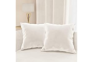 PETTI Artigiani Italiani - Cuscini Arredo in Velluto, Cuscino per Camera da Letto, Divano Salotto, Federa Cuscino, Bianco Latte 2 Pezzi - 45x45 cm