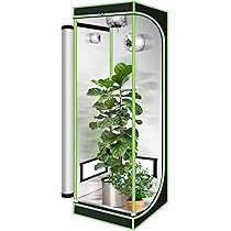 Ikodm Growtent, 60 x 60 x 180 cm, 600D Oxford kweektent, lichtdicht en waterdicht, luchtige broeikas voor thuisgroei, indoor teelt