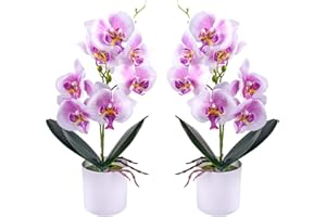 XONOR Künstliche Orchideenblumen, 2 Stück eingetopfte Orchideenblüten Gefälschte Orchideen mit Plastikvase für Tischdekoration Wohnkultur Büro Hochzeitsfeier Dekoration (Lila)